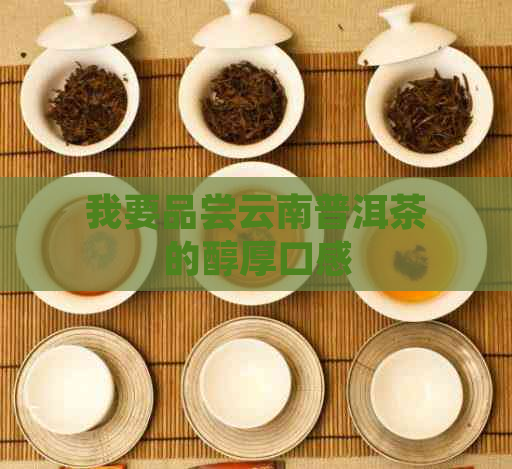 我要品尝云南普洱茶的醇厚口感