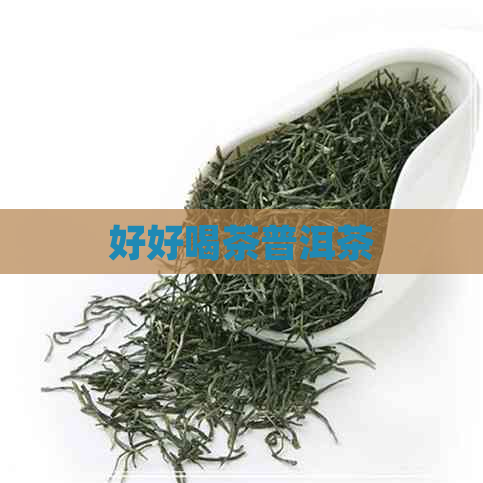 好好喝茶普洱茶