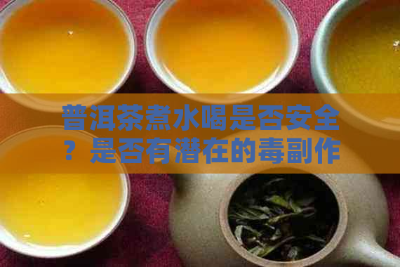 普洱茶煮水喝是否安全？是否有潜在的副作用？