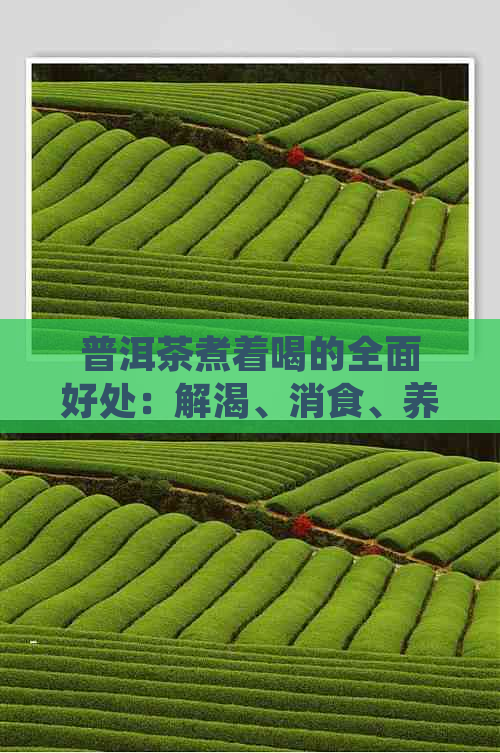 普洱茶煮着喝的全面好处：解渴、消食、养胃还降脂！