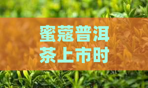 蜜蔻普洱茶上市时间表：从生产到销售的全面解析与预测