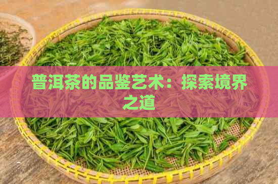 普洱茶的品鉴艺术：探索境界之道