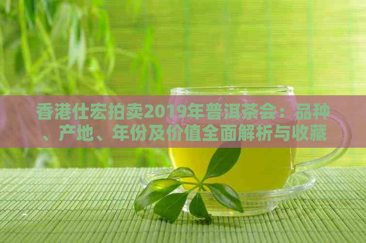 仕宏拍卖2019年普洱茶会：品种、产地、年份及价值全面解析与收藏建议