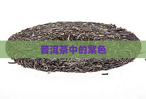 普洱茶中的紫色