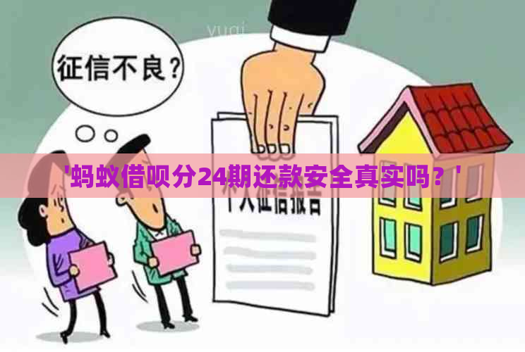 '蚂蚁借呗分24期还款安全真实吗？'