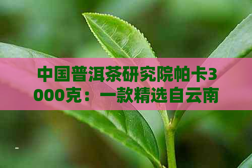 中国普洱茶研究院帕卡3000克：一款精选自云南大叶种茶叶的高品质熟茶