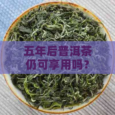 五年后普洱茶仍可享用吗？探究其陈化潜力