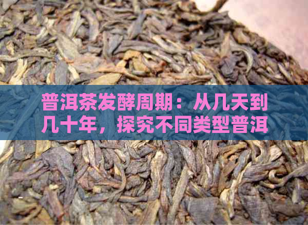 普洱茶发酵周期：从几天到几十年，探究不同类型普洱茶的发酵时间差异