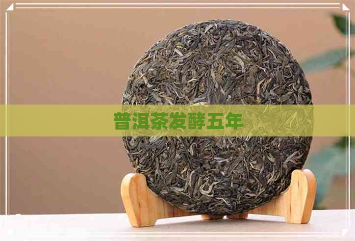 普洱茶发酵五年