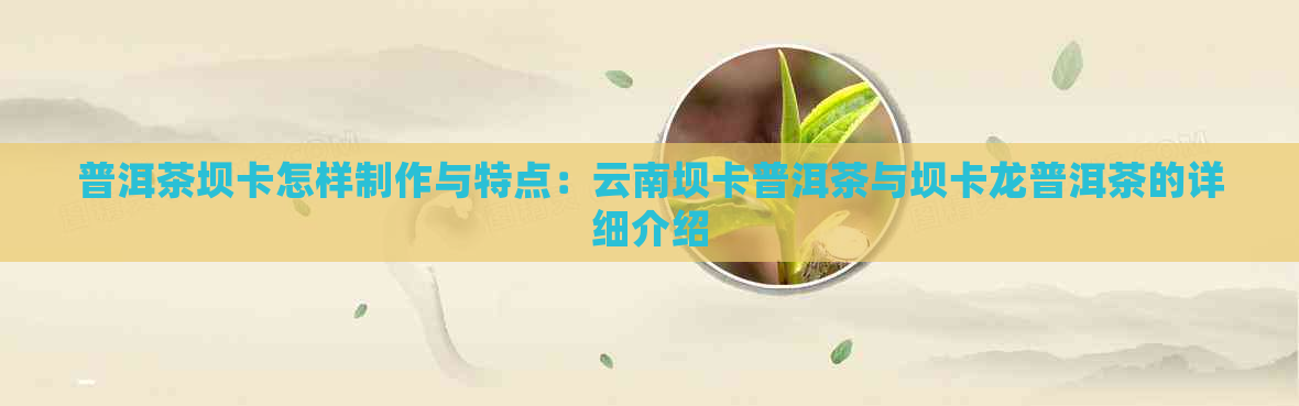 普洱茶坝卡怎样制作与特点：云南坝卡普洱茶与坝卡龙普洱茶的详细介绍