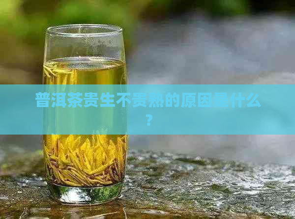 普洱茶贵生不贵熟的原因是什么？