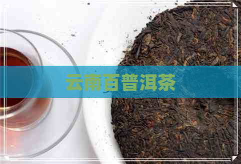 云南百普洱茶