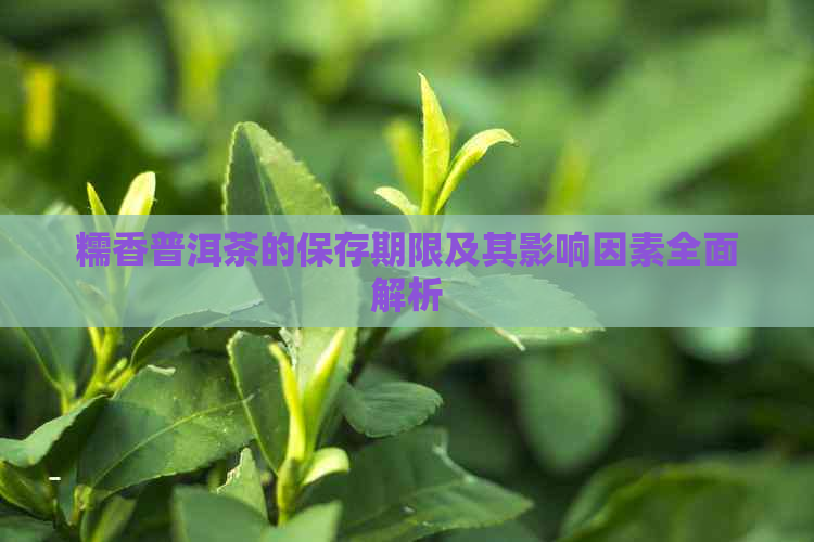 糯香普洱茶的保存期限及其影响因素全面解析