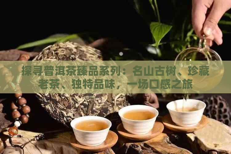 探寻普洱茶臻品系列：名山古树、珍藏老茶、独特品味，一场口感之旅