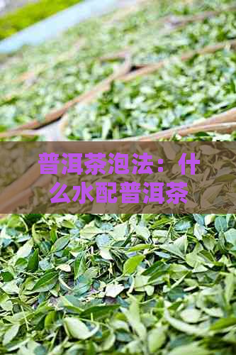 普洱茶泡法：什么水配普洱茶好喝又香？