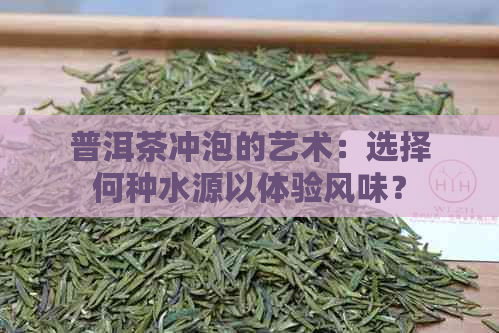 普洱茶冲泡的艺术：选择何种水源以体验风味？