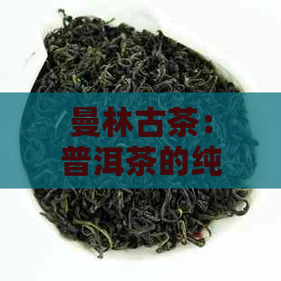 曼林古茶：普洱茶的纯净之美与独特风味