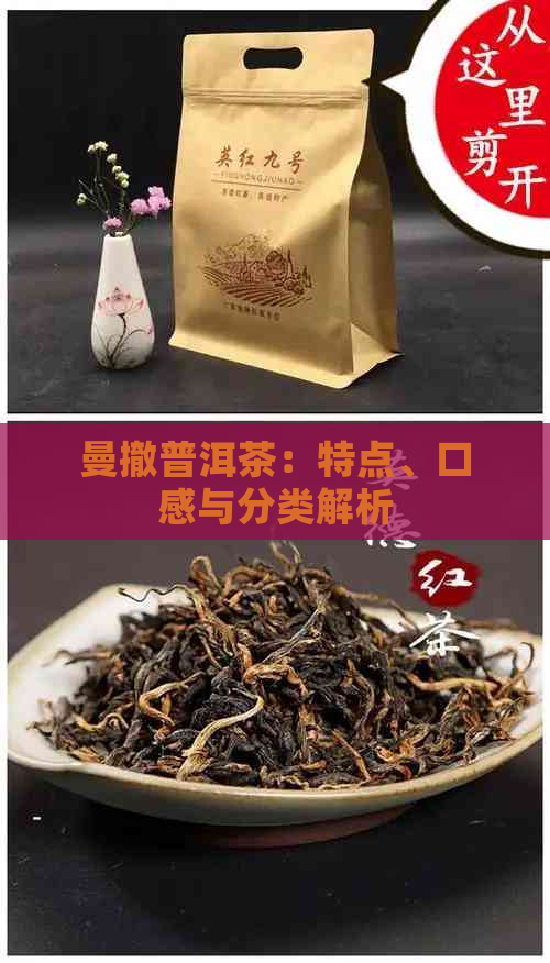 曼撤普洱茶：特点、口感与分类解析