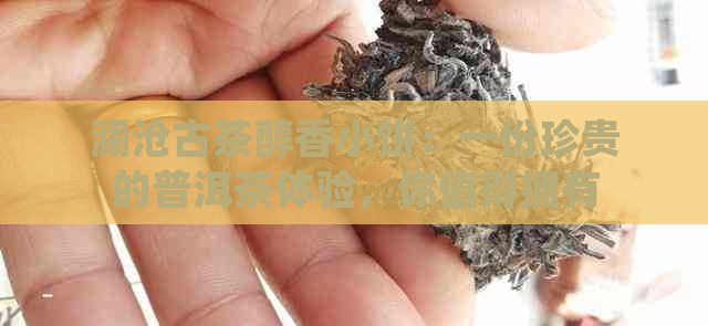 澜沧古茶醇香小饼：一份珍贵的普洱茶体验，你值得拥有