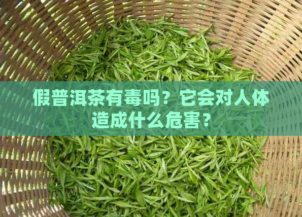 假普洱茶有吗？它会对人体造成什么危害？