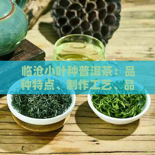 临沧小叶种普洱茶：品种特点、制作工艺、品鉴方法及收藏价值全方位解析