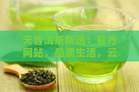 天普洱茶精选：官方网站，品质生活，云南大叶种，茶叶收藏，茶艺文化