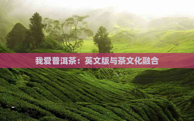 我爱普洱茶：英文版与茶文化融合