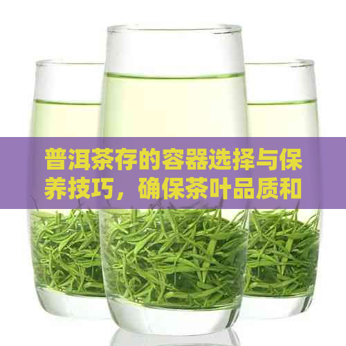 普洱茶存的容器选择与保养技巧，确保茶叶品质和口感