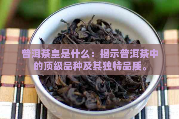 普洱茶皇是什么：揭示普洱茶中的顶级品种及其独特品质。