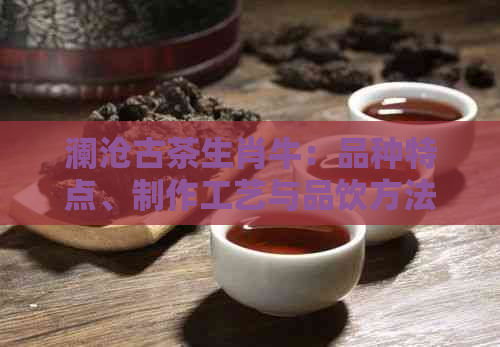 澜沧古茶生肖牛：品种特点、制作工艺与品饮方法全面解析