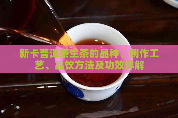 新卡普洱茶生茶的品种、制作工艺、品饮方法及功效详解