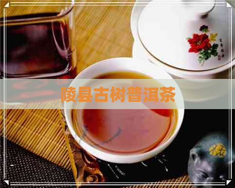 陵县古树普洱茶