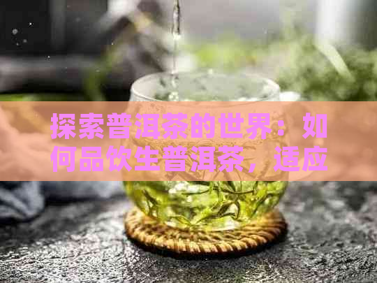 探索普洱茶的世界：如何品饮生普洱茶，适应口感与饮用方法