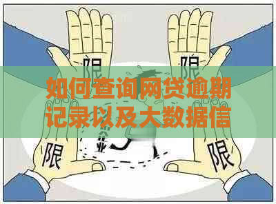 如何查询网贷逾期记录以及大数据信息？全面解答用户搜索需求