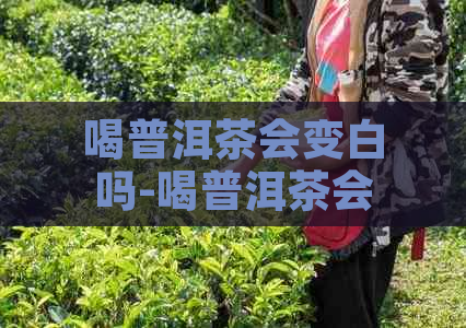 喝普洱茶会变白吗-喝普洱茶会变白吗女生