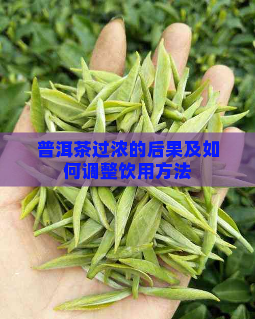 普洱茶过浓的后果及如何调整饮用方法