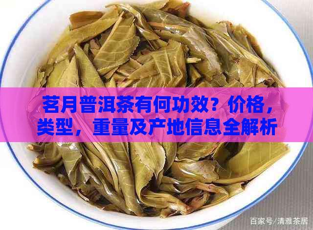 茗月普洱茶有何功效？价格，类型，重量及产地信息全解析