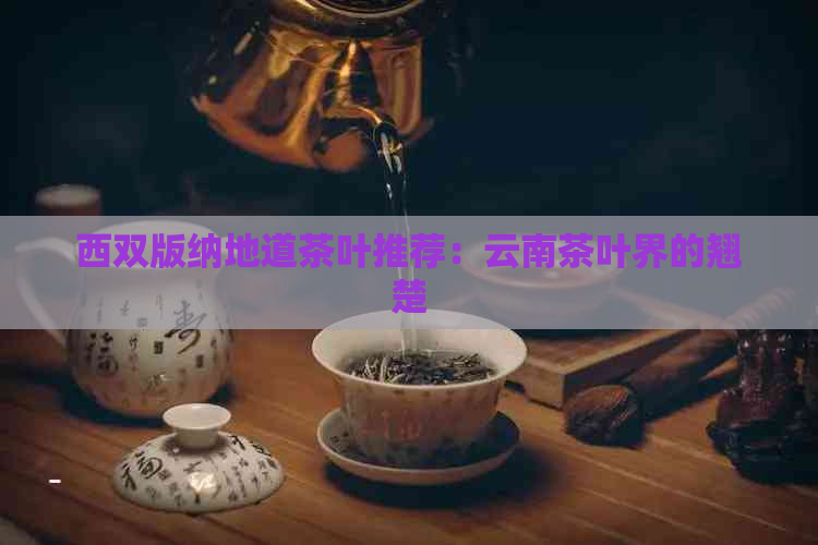 西双版纳地道茶叶推荐：云南茶叶界的翘楚