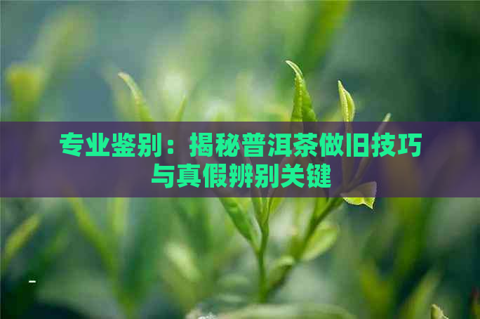 专业鉴别：揭秘普洱茶做旧技巧与真假辨别关键