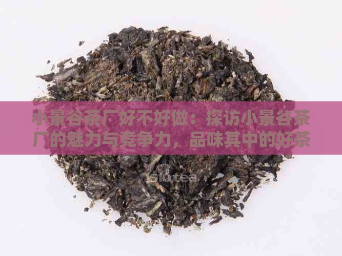 小景谷茶厂好不好做：探访小景谷茶厂的魅力与竞争力，品味其中的好茶。