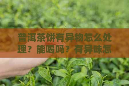 普洱茶饼有异物怎么处理？能喝吗？有异味怎么办？有杂质、虫子又该怎么办？