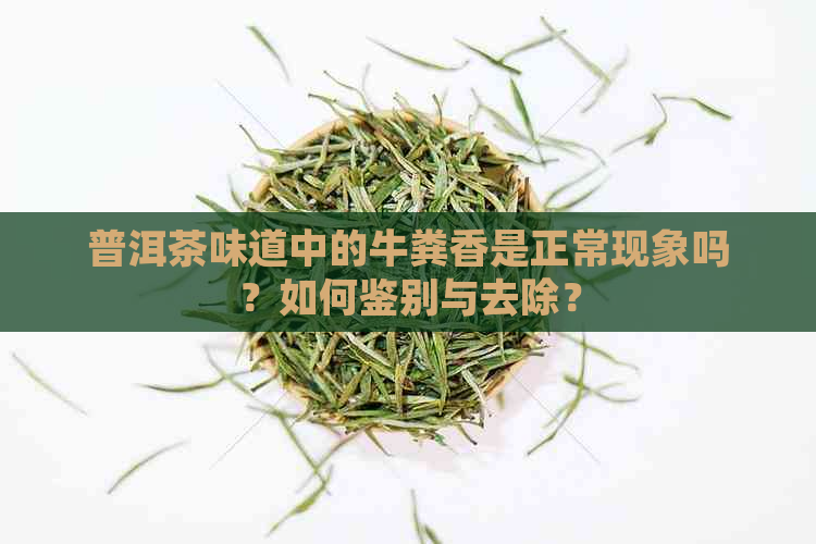 普洱茶味道中的牛粪香是正常现象吗？如何鉴别与去除？