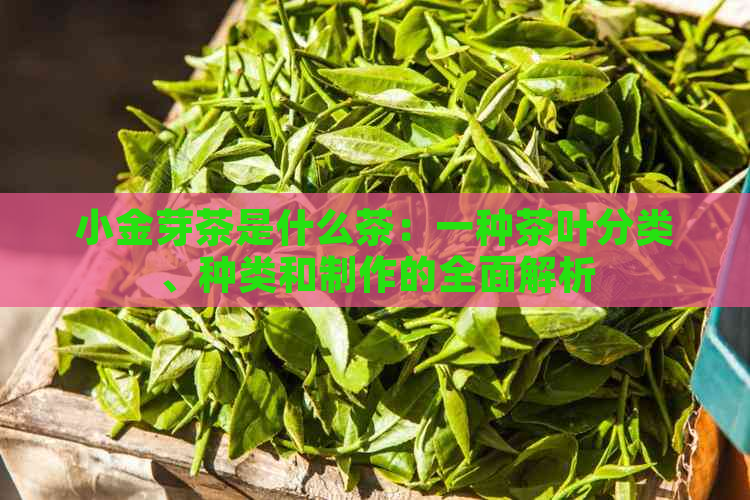 小金芽茶是什么茶：一种茶叶分类、种类和制作的全面解析