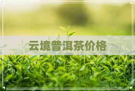 云境普洱茶价格