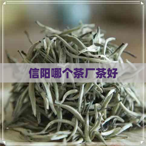 信阳哪个茶厂茶好