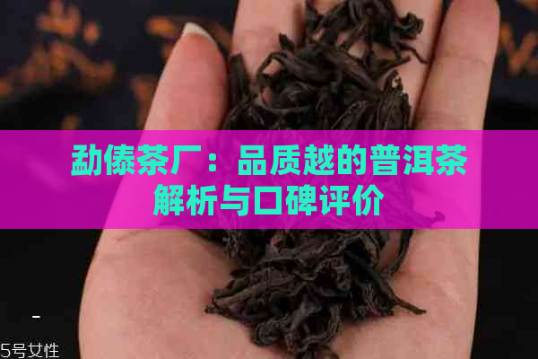 勐傣茶厂：品质越的普洱茶解析与口碑评价