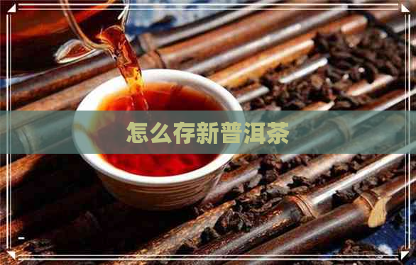 怎么存新普洱茶