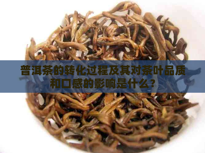 普洱茶的转化过程及其对茶叶品质和口感的影响是什么？