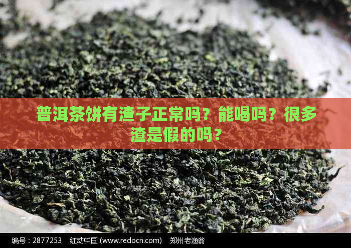 普洱茶饼有渣子正常吗？能喝吗？很多渣是假的吗？