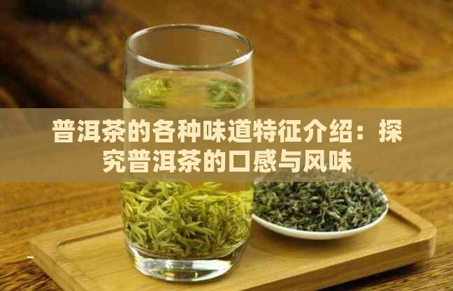 普洱茶的各种味道特征介绍：探究普洱茶的口感与风味